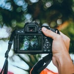 Fotografie von Natur und Tieren mit Sony Alpha 7 III.